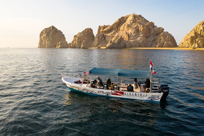 2 Dives in the Cabo Marine Park - Booking, cancellation, and practical planning