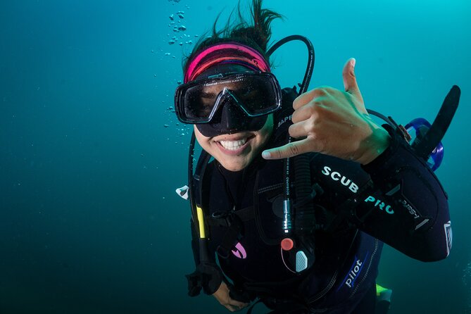 2 Dives in the Cabo Marine Park - What the four-hour schedule feels like