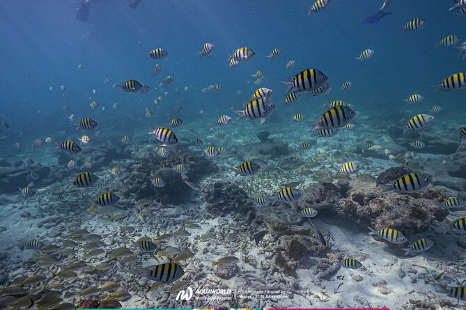 2-Hour Snorkeling Paradise Reef in Cancún Underwater Museum - The short boat ride to Punta Nizuc