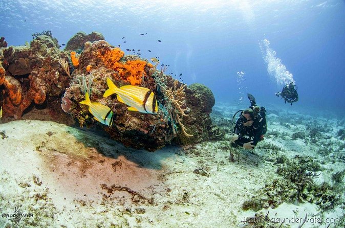 2 Tank Cozumel Reef Boat Dives - A surface break with snacks and sea views