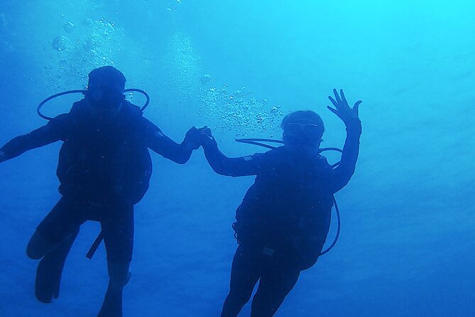 2 Tank Dive (for certified divers) - Why Costa Maya’s reef is worth your morning