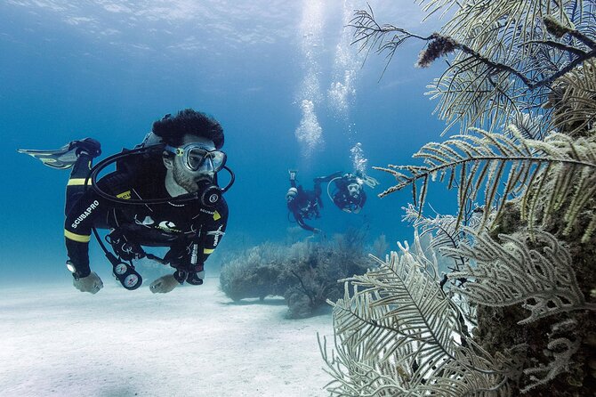 2 Tank Dive (for certified divers) - The first boat ride and reef session