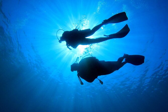 2 Tank Dive (for certified divers) - Price, equipment, and what the value really is