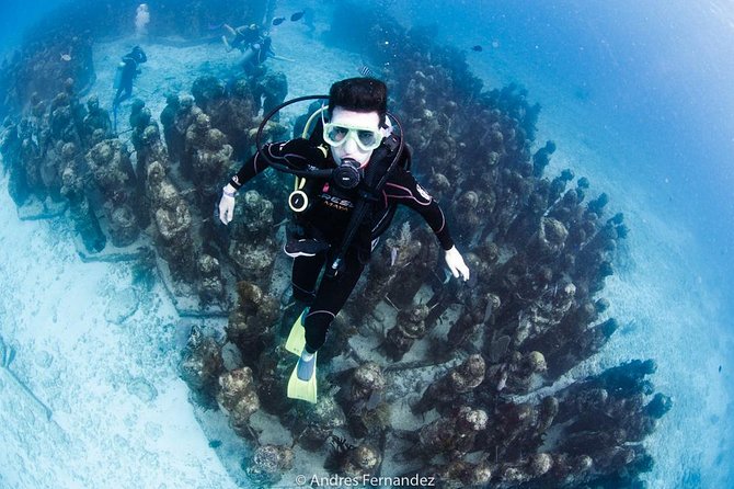 2 Tank Dives MUSA and Manchones reef (Certified divers) - Two tank sessions at MUSA and Manchones Reef