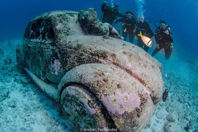 2 Tank Dives MUSA and Manchones reef (Certified divers) - Squalo Adventures and the small-group setup
