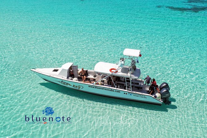 2 Tank Morning Dive: Scuba Diving in Cozumel - Key points to know before you book