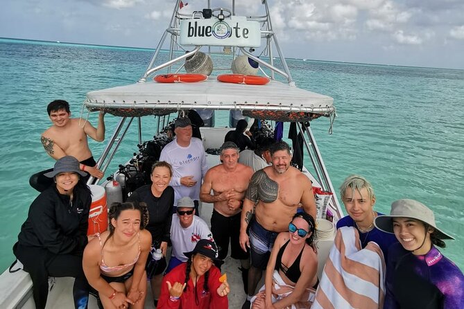 2 Tank Morning Dive: Scuba Diving in Cozumel - The surface interval: guacamole, shade, and a proper pause