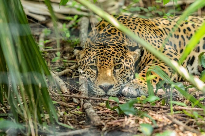 3-Day Adventure and Nature Tour in Huasteca Potosina from Ciudad Valles - What the hotel stay adds to the price