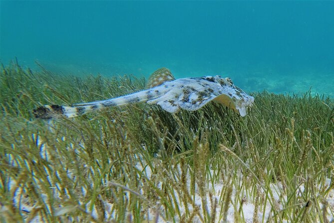 3 Hour Costa Maya Snorkeling Excursion - La Leyenda ECO-TOURS - Beach time at Hotel 40 Cañones