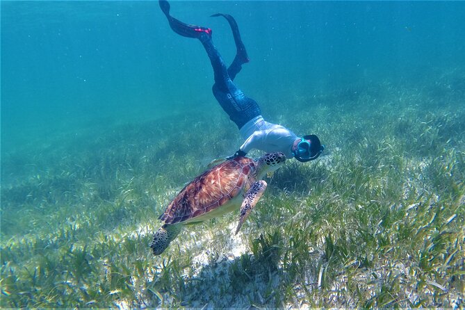 3 Hour Costa Maya Snorkeling Excursion - La Leyenda ECO-TOURS - A 25-foot panga and two changing reef sites