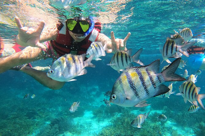 3 Hours VIP Semiprivate Tour Isla Mujeres Full Snorkeling Experience - What the three hours really look like