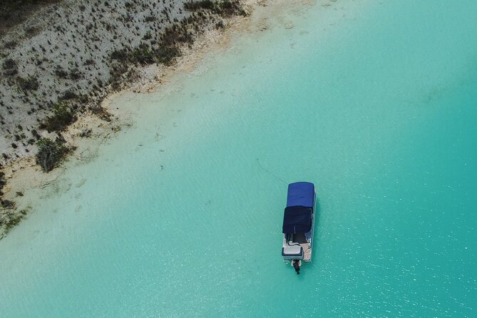 3 hr Pontoon Tour with access to Beach Club and Free Kayaks - Swimming in warm, clear water