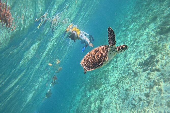 3 in 1 Jungle Speedboat and Snorkeling in Cancun - Guides, safety, and the human side of the outing