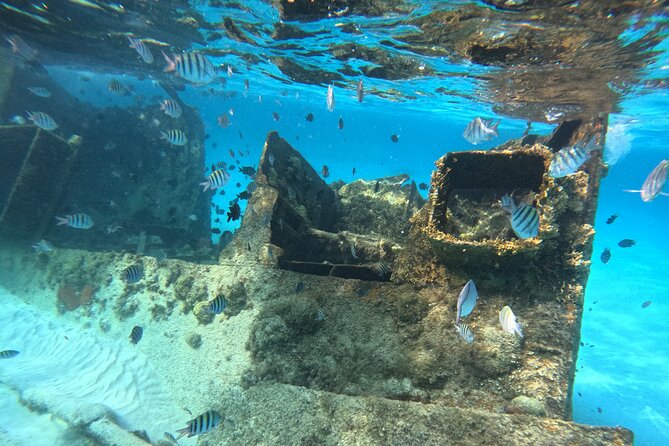 3 in 1 Jungle Tour Adventure Cancun - Timing, meeting point, and group size