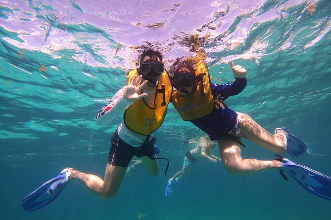 3 in 1 Jungle Tour Adventure Cancun - Who will enjoy this Cancun adventure