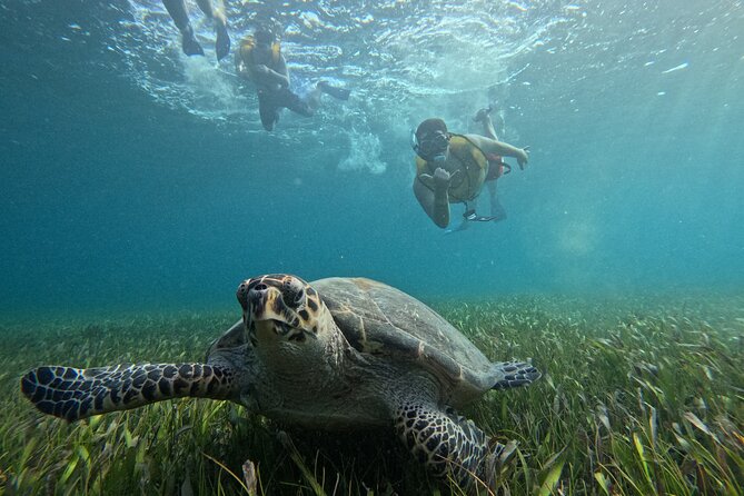 3 in 1 Jungle Tour Adventure Cancun - Seeing art beneath the surface at MUSA
