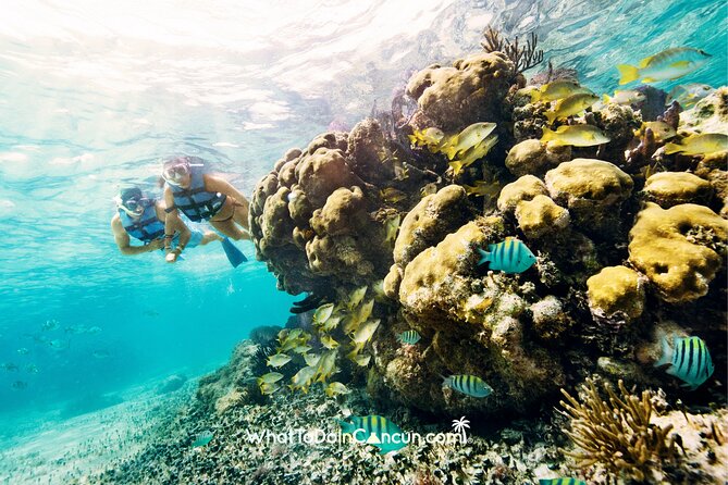 3-in-1 Puerto Morelos: Snorkeling, Tequila & Beachside Lunch - Is $39 a good value?