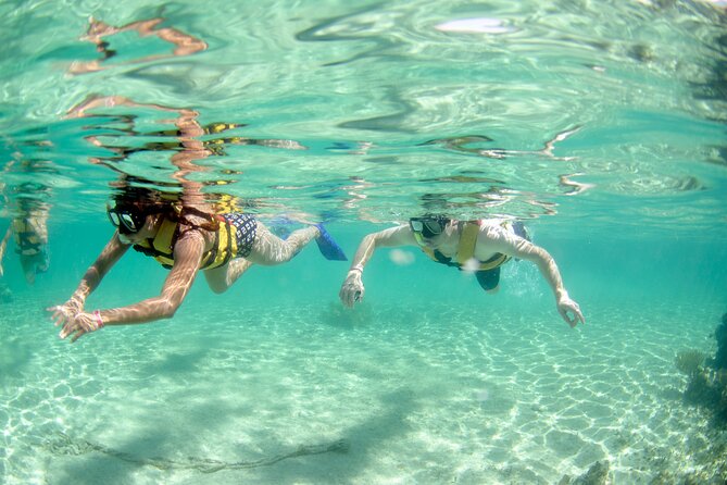 3-in-1 Puerto Morelos: Snorkeling, Tequila & Beachside Lunch - Booking advice before you pay