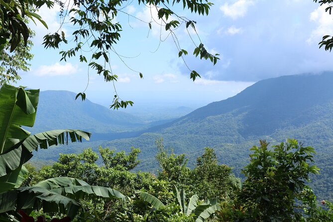 3 Levels of Huatulco the coffee you've been looking for - Coffee tasting at Cafe Plurmet