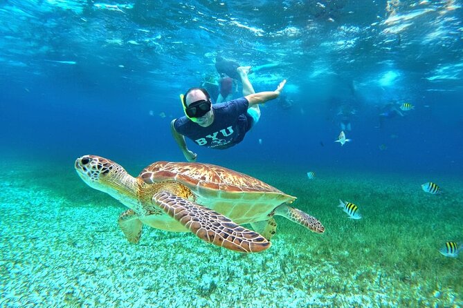 4 Hour Cozumel Turtle Sanctuary Experience on a Luxury Catamarán - The downtown meeting point and hotel pickup