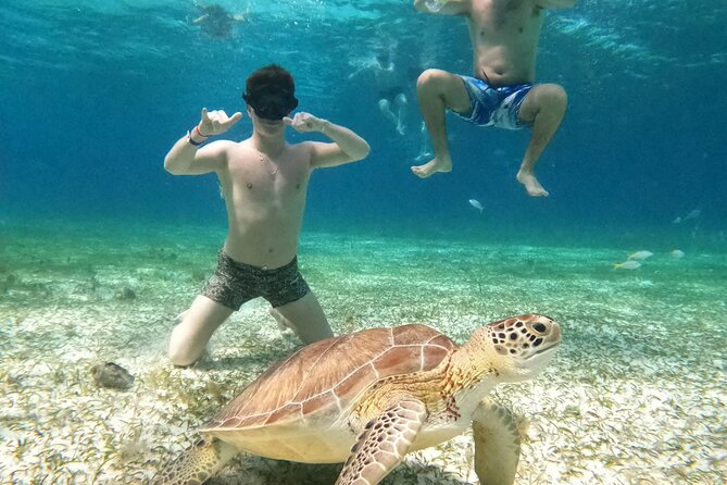 4 Hour Cozumel Turtle Sanctuary Experience on a Luxury Catamarán - El Cielo and Cielito: two very different stops