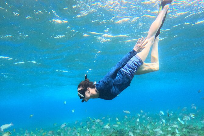 4 Hour Cozumel Turtle Sanctuary Experience on a Luxury Catamarán - Food, drinks, and the onboard bathroom