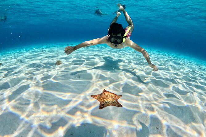 4 Hour Cozumel Turtle Sanctuary Experience on a Luxury Catamarán - The sunset ride and possible return changes