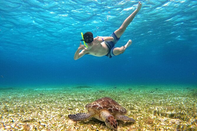 4 Hour Cozumel Turtle Sanctuary Experience on a Luxury Catamarán - Price, extra fees, and overall value