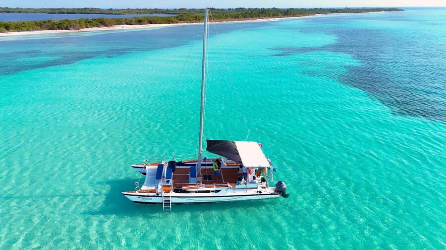4 Hour Turtle Sanctuary Experience on a Luxury Catamarán - Three water stops, one easy four-hour outing