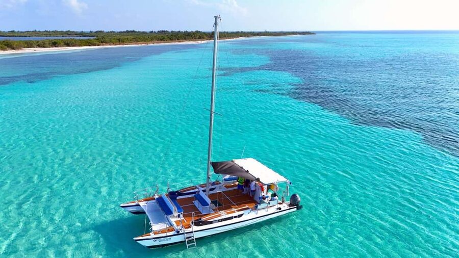 4 Hour Turtle Sanctuary Experience on a Luxury Catamarán - El Cielo and its bright starfish on white sand