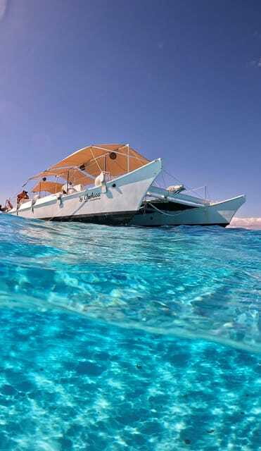 4 Hour Turtle Sanctuary Experience on a Luxury Catamarán - Who should book this Cozumel catamaran trip?