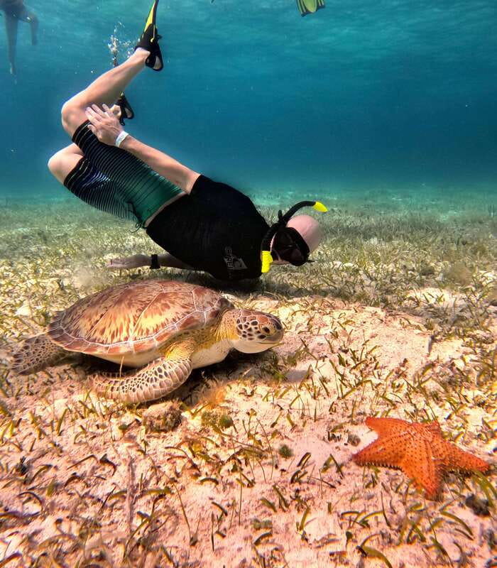 4 Hour Turtle Sanctuary Experience on a Luxury Catamarán - Should you book the four-hour sailing?