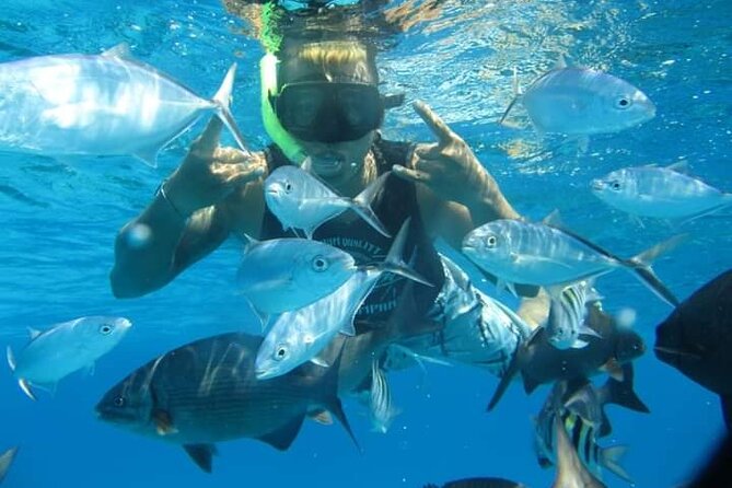 4 hours of shared snorkeling to El Cielo - El Cielito: ceviche, beer, and a proper pause
