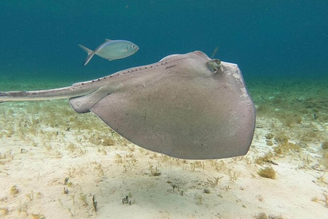 4 hours of shared snorkeling to El Cielo - The guides make the small boat work