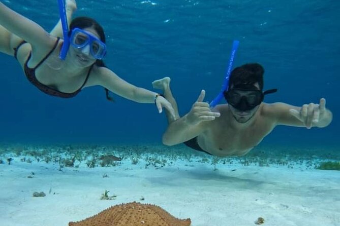 4 hours of shared snorkeling to El Cielo - Palancar Reef: the main underwater attraction