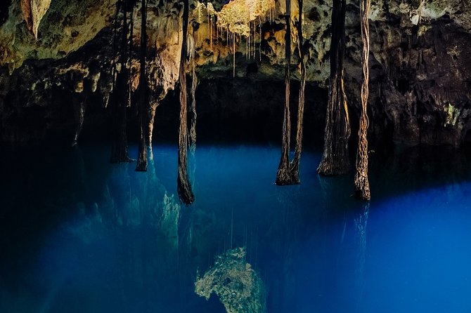 4-in-1 Cenote Tour Guided Experience with Breakfast, Lunch & Wine - Lu’um: rappelling into the Earth Cenote