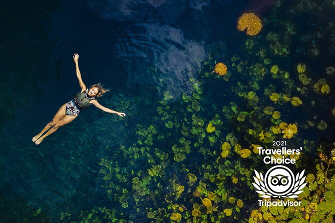 4-in-1 Cenote Tour Guided Experience with Breakfast, Lunch & Wine - Lunch in the jungle, with wine and beer