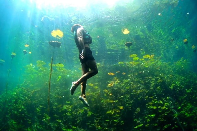 4-in-1 Cenote Tour Guided Experience with Breakfast, Lunch & Wine - Breakfast, safety instructions, and the Mayan setting