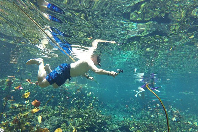 4 Private Cenotes, Zip-Lines, Canoes & Mayan Village with Delicious Lunch - Is $275 per person a fair price?