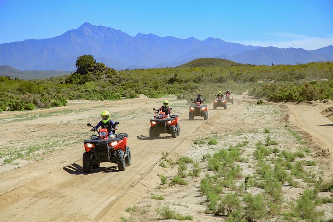 4x4 ATV Adventure with Tequila Tasting and Mexican Buffet Lunch - What the Tequila and Mezcal Tasting Actually Includes