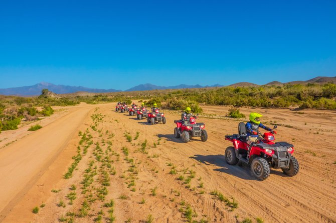 4x4 ATV Adventure with Tequila Tasting and Mexican Buffet Lunch - Who Will Enjoy This Cabo ATV Tour