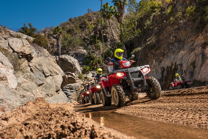 4x4 ATV Adventure with Tequila Tasting and Mexican Buffet Lunch - Timing, Pickup, and Cancellation Details