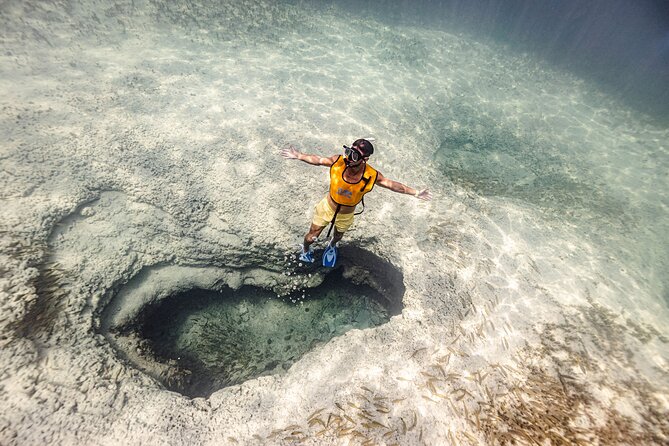 5-in-1 Cancun Snorkeling Tour with Sea Life & Transport Included - Five Cancun water stops in one short outing