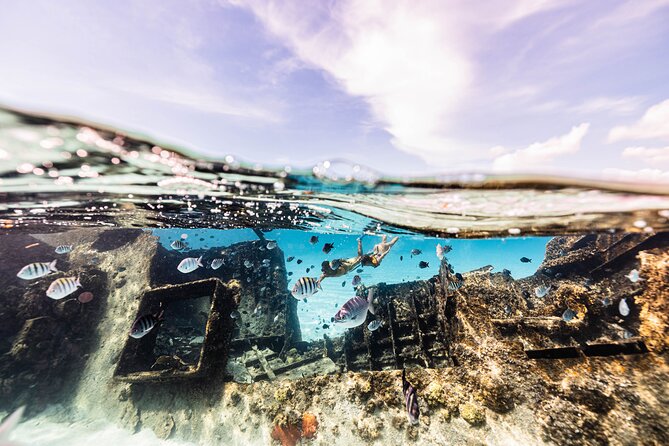 5-in-1 Cancun Snorkeling Tour with Sea Life & Transport Included - What the $79 price really means