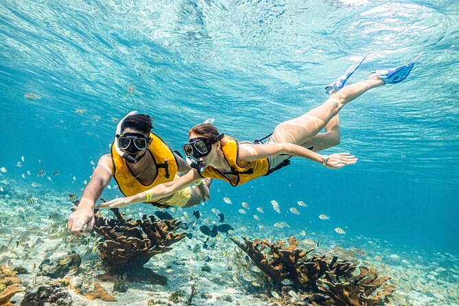 5-in-1 Cancun Snorkeling Tour with Sea Life & Transport Included - Be careful with the photo and video add-on