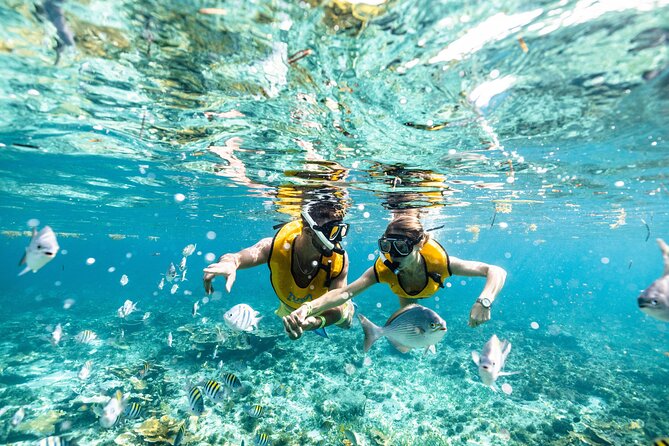 5-in-1 Cancun Snorkeling Tour with Sea Life & Transport Included - Weather can change the plan