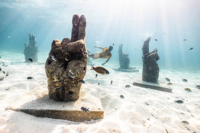 5-in-1 Cancun Snorkeling Tour with Sea Life & Transport Included - Swimming above the coral-covered shipwreck