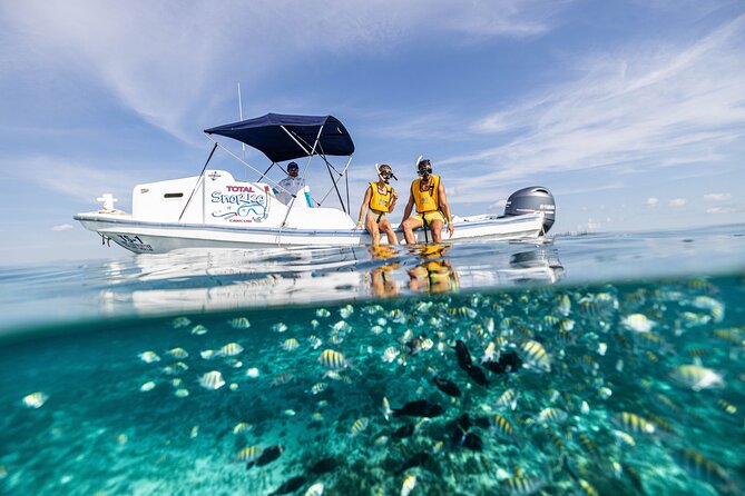 5-in-1 Cancun Snorkeling: Turtles, Reef, Musa, Shipwreck, Cenote - Starting at Total Snorkel Cancun