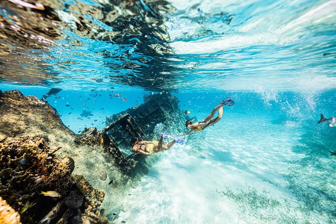 5-in-1 Cancun Snorkeling: Turtles, Reef, Musa, Shipwreck, Cenote - Looking for turtles and rays