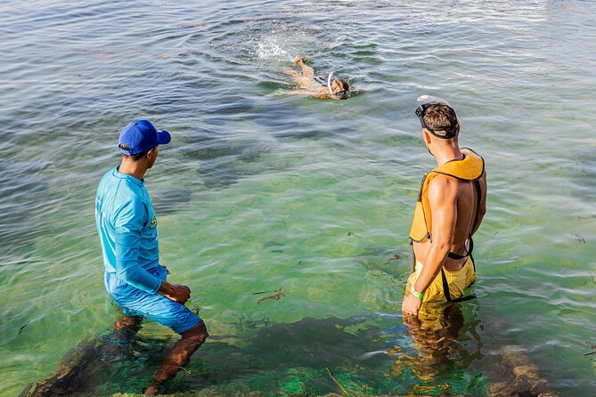 5-in-1 Cancun Snorkeling: Turtles, Reef, Musa, Shipwreck, Cenote - The shipwreck and its fish